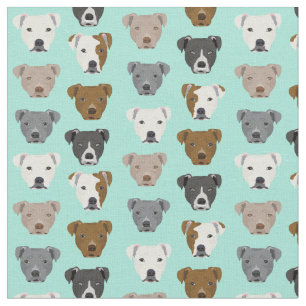 Tissu Pitbull face à la menthe motif