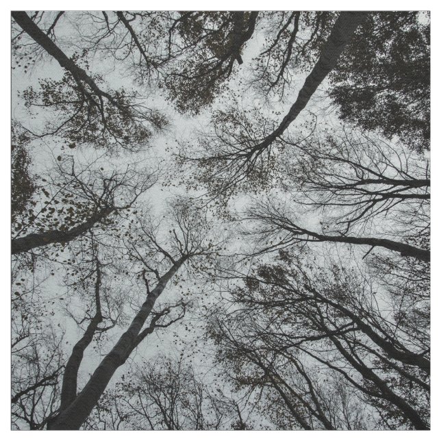 Tissu Plafond noir et blanc de forêt (Échantillon)