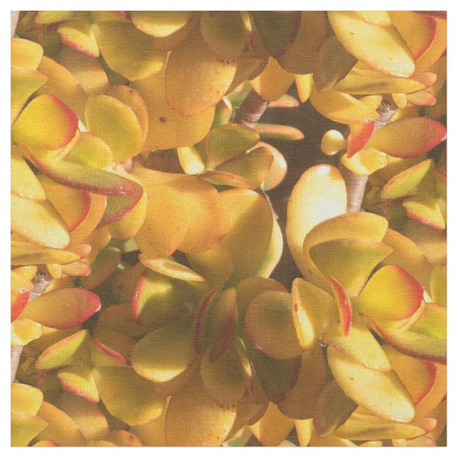 Tissu Plantes de glace jaune (Fermer)