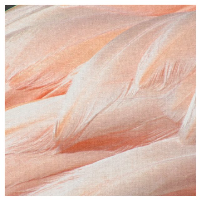 Tissu Plumes de Flamant rose - 5818 (Fermer)