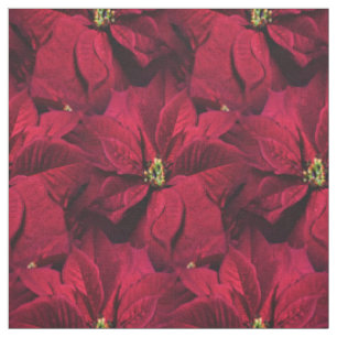 Tissu Poinsettias rouges