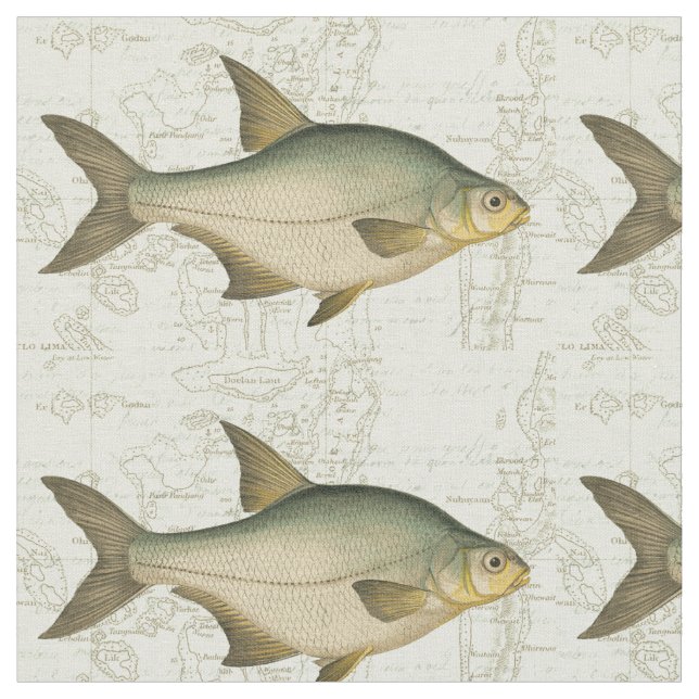 Tissu Poisson d'eau douce sur la carte (Fermer)