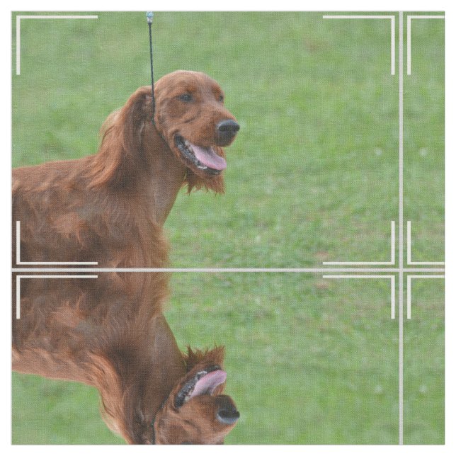 Tissu Poseur irlandais mignon (Fermer)