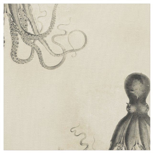 Tissu Poulpe échoué (Fermer)