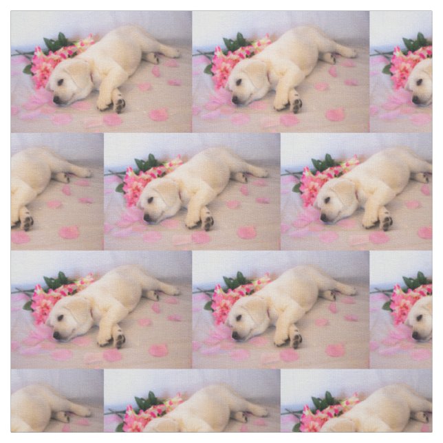 Tissu Puppy Sleep Flower 01 (Échantillon)