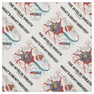 Tissu Qu'y a-t-il sur mes nerfs ? Le Myelin Sheath
