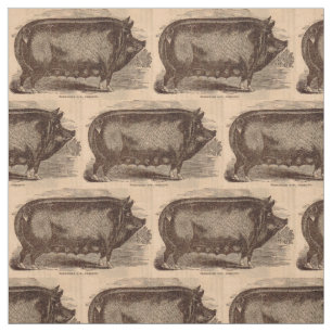 Tissu Race du 19ème siècle de truie de Berkshire de