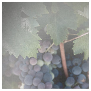 Tissu - Raisins sur la vigne