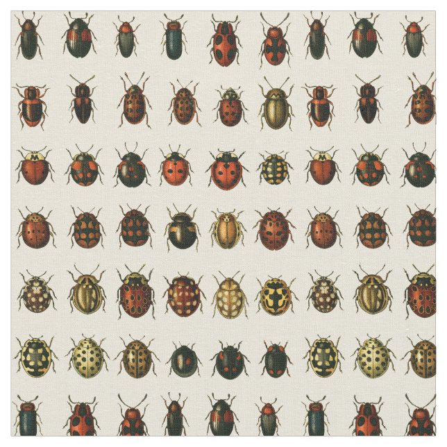 Tissu Rangée de coccinelles (Fermer)