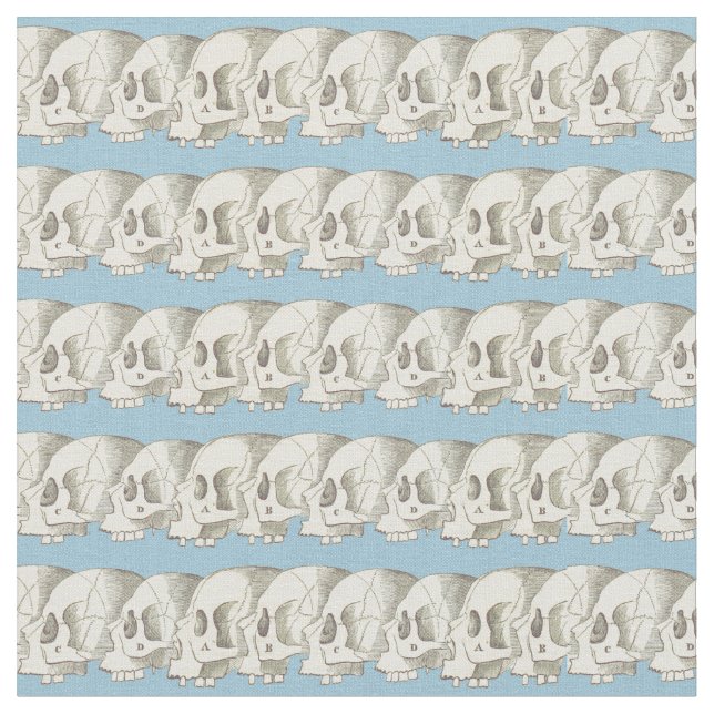 Tissu Rangée des crânes (Fermer)