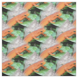Tissu Red Eft Orange Salamander Motif animal