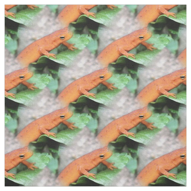 Tissu Red Eft Orange Salamander Motif animal (Échantillon)