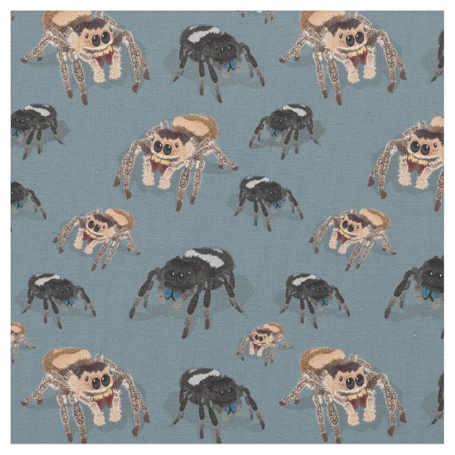 Tissu Regal Jumping Spider Phiddipus Regius (Fermer)