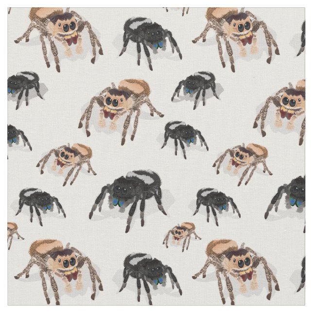 Tissu Regal Jumping Spider Phiddipus Regius White (Fermer)