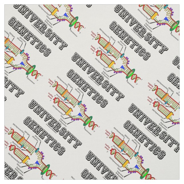 Tissu Réplication génétique de l'ADN de l'Université (Échantillon)
