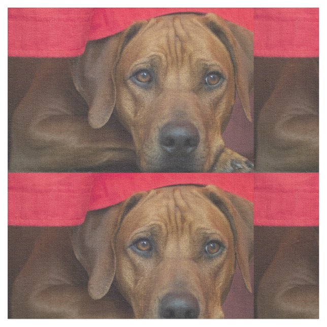 Tissu rhodesian-ridgeback (Fermer)