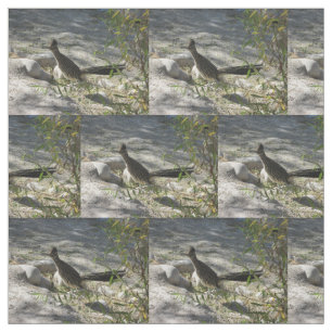 Tissu Roadrunner