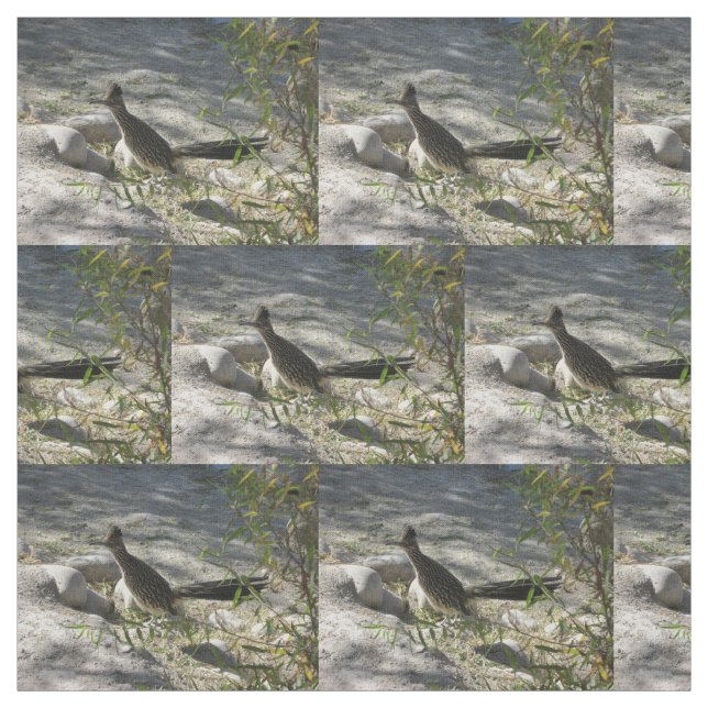 Tissu Roadrunner (Échantillon)