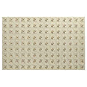 Tissu Rodéo occidental de cow-girl vintage