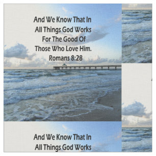 TISSU ROMAINS 8:28 SKIS BLEUS SCRIPTURE VERS