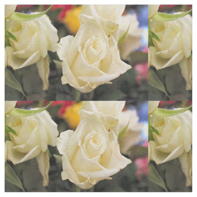Tissu Rose blanche (Fermer)