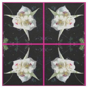 Tissu Rose bonbon