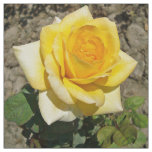 Tissu Rose jaune