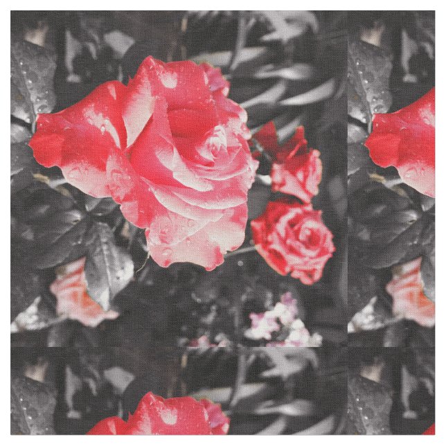 Tissu Roses rouges romantiques (Fermer)