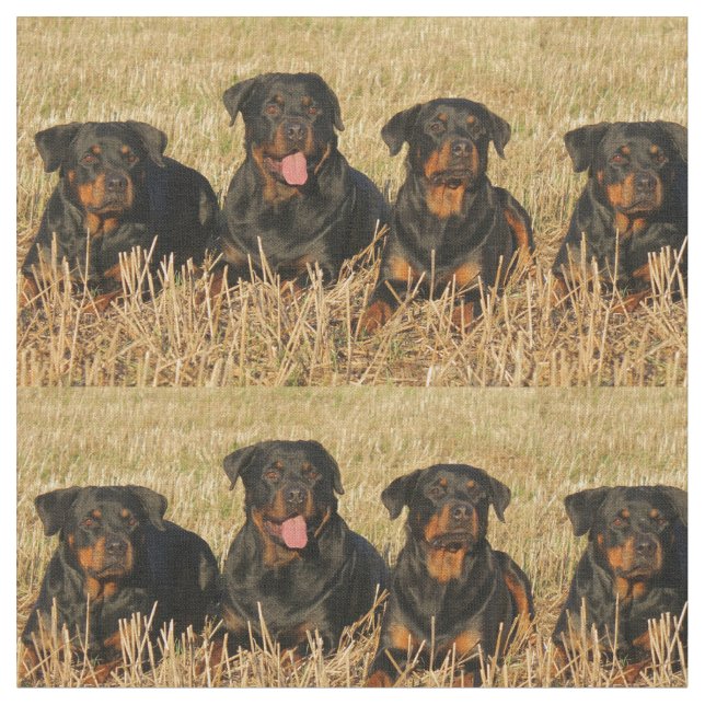 Tissu rottweiler-group.png (Fermer)