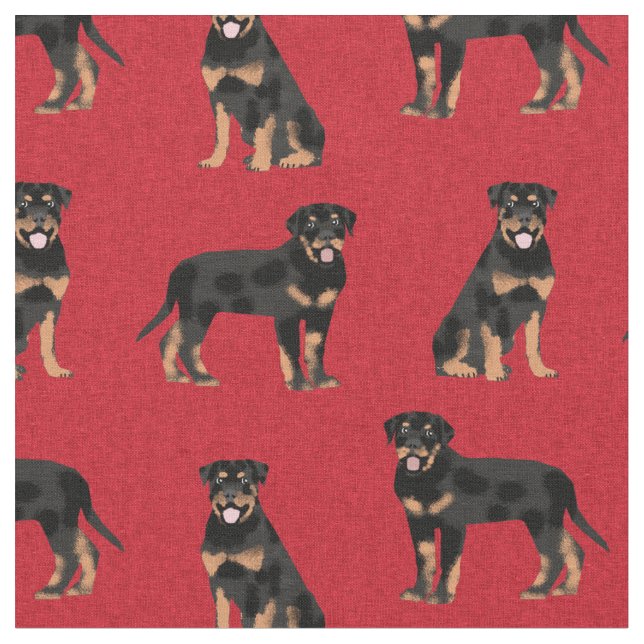 Tissu rougeur de chien de rottweiler (Fermer)