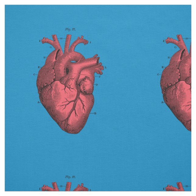 Tissu Saint-Valentin anatomique vintage de coeur (Échantillon)