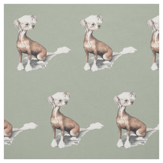Tissu se reposant crêté chinois d'art de chien (Échantillon)