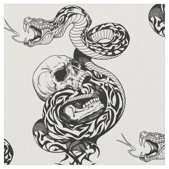 Tissu serpent et crâne humain brisé (Fermer)