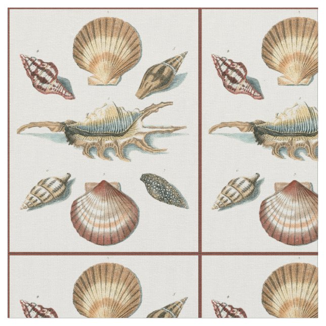 Tissu Shell de fantaisie échouent (Fermer)