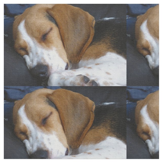 Tissu sommeil de beagle (Fermer)