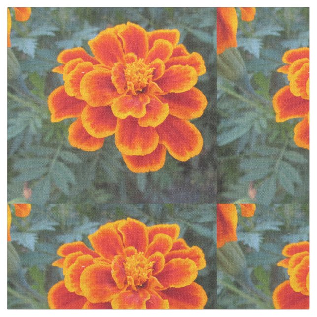 Tissu Souci assez orange (Fermer)