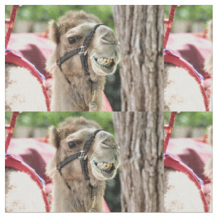 Tissu Sourire