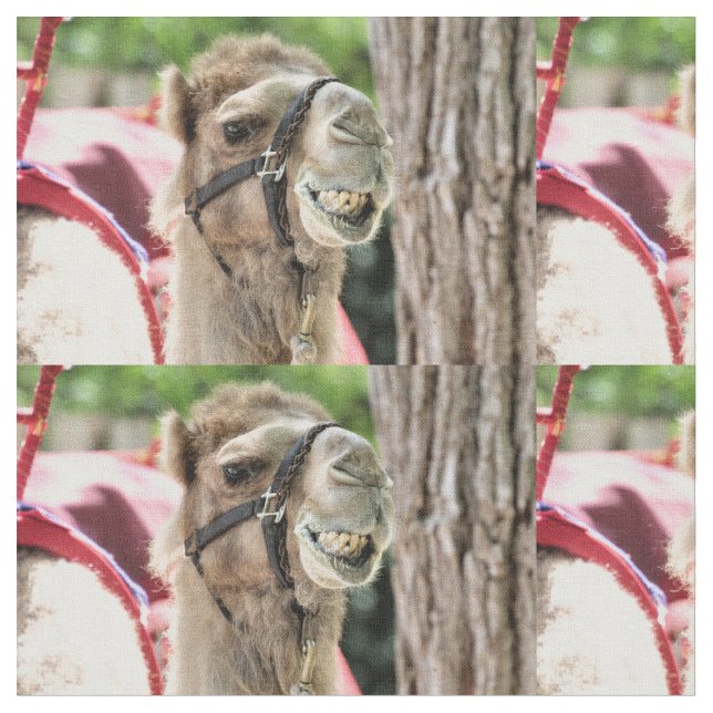 Tissu Sourire (Fermer)