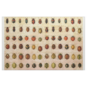 Tissu Spécimen de coccinelle vintage Motif Insecte antiq