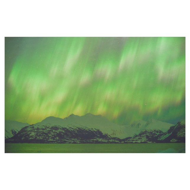 Tissu Spectaculaire Aurora (Yard)