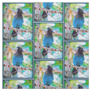 Tissu Steller's Jay - Photographie originale