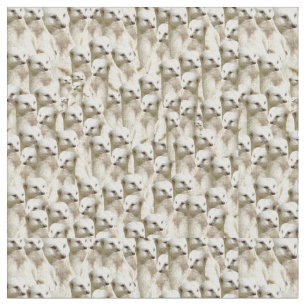 Tissu Suricates blancs,
