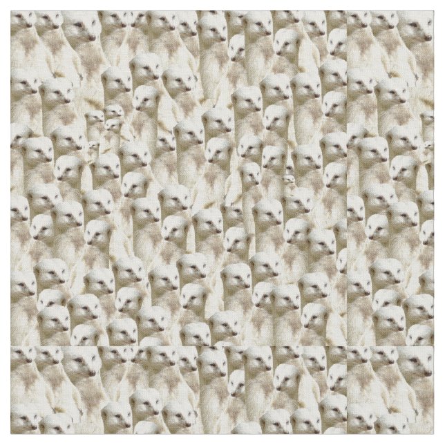 Tissu Suricates blancs, (Fermer)