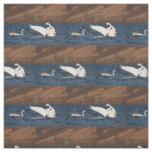 Tissu Swan