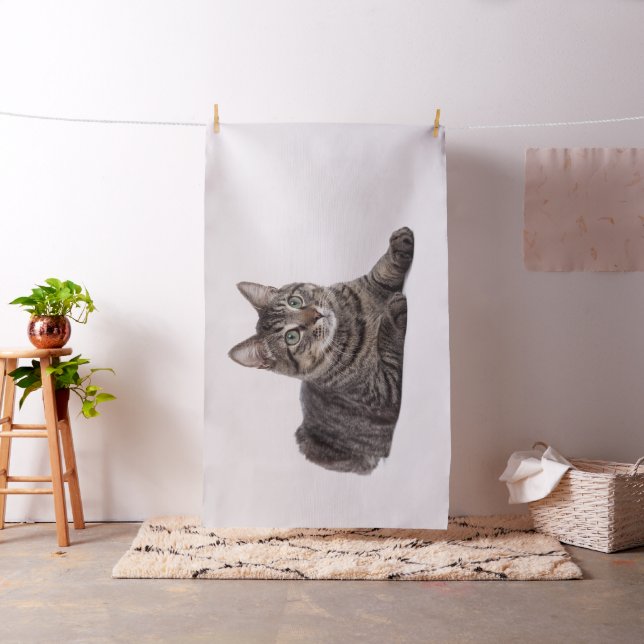 Tissu Tabby Gris (In Situ)