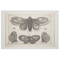 Tapisserie vintage de lépidoptères de papillon de