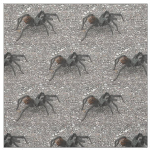Tissu Tarentule