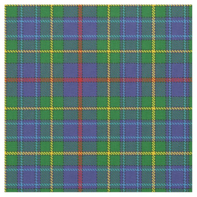 Tissu Tartan écossais de clan de Bailey (Fermer)