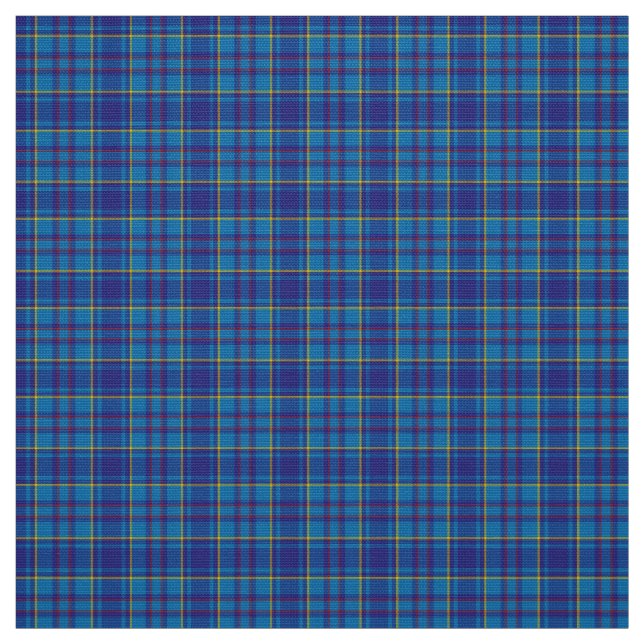 Tissu Tartan moderne de Mercer (Échantillon)