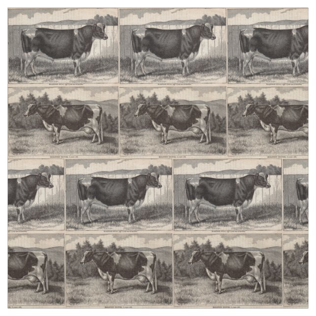 Tissu Taureau du Holstein d'impression et copie du 19ème (Échantillon)